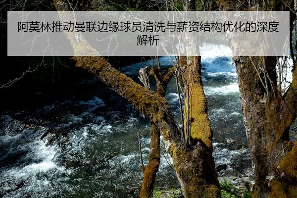阿莫林推动曼联边缘球员清洗与薪资结构优化的深度解析