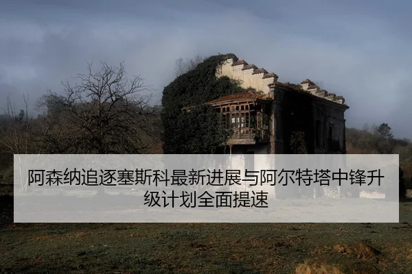 阿森纳追逐塞斯科最新进展与阿尔特塔中锋升级计划全面提速