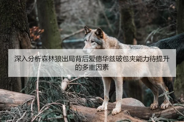 深入分析森林狼出局背后爱德华兹破包夹能力待提升的多重因素