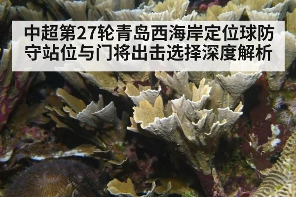 中超第27轮青岛西海岸定位球防守站位与门将出击选择深度解析
